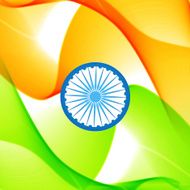 Indian Flag N21