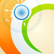 indian flag vector N9