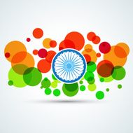 creative indian flag N13