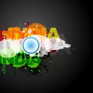 Flag of India N19