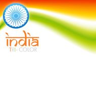 Indian Flag N23