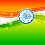 Flag of India N23