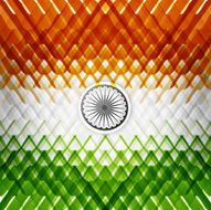 The tricolor of the Indian national flag with colorful texture vector