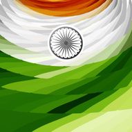 Indian flag texture wave stylish colorful tricolor vector