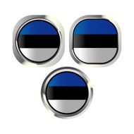 Estonia flag button N2