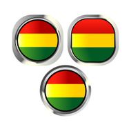 Bolivia flag button N2