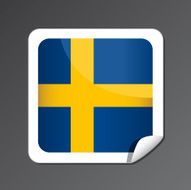 Swedish flag button