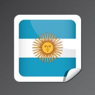 Argentinian flag button