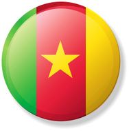 Cameroon Lapel Flag