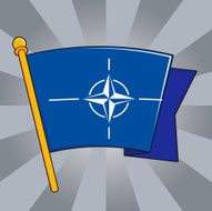 Flag of NATO N4