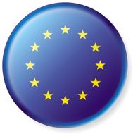 European Union Flag Satin Button