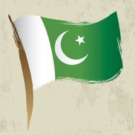 Pakinstini National Flag