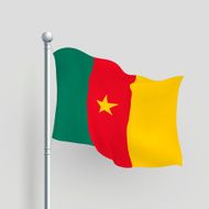 3d vector Cameroon flag