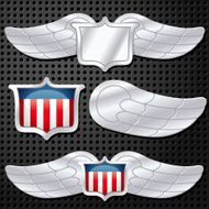 American Wings