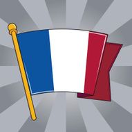 Flag of France N29