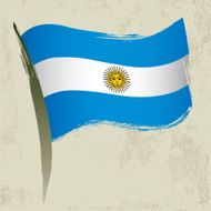 Argentina National Flag N5
