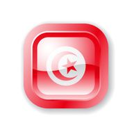 Tunisia Flag icon N3