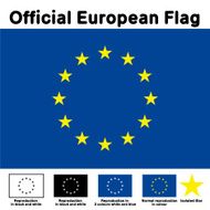 Official European Flag classic Vector