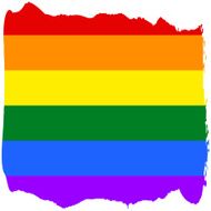 Gay and LGBT rainbow flag N3
