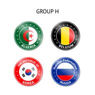 Brazil 2014 group H