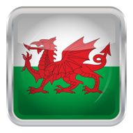 Glossy Button - Flag of Wales N3