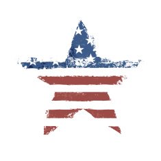 The American flag print as star shaped symbol Vector EPS10
