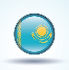 Flag of Kazakhstan vector illustration N10