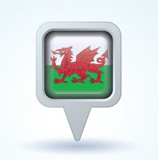 Flag of Wales vector illustration N4