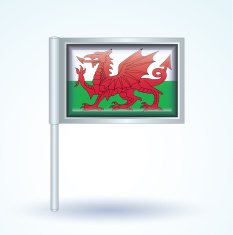 Flag of Wales vector illustration N5