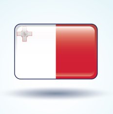 Flag of Malta vector illustration N8