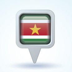 flag of Suriname vector illustration N6