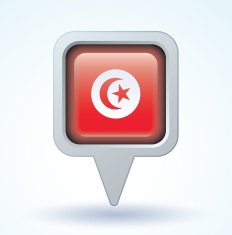 Flag of Tunisia vector illustration N5