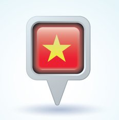 Flag of Vietnam vector illustration N5