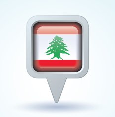 Flag of Lebanon vector illustration N5