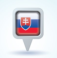 Flag of Slovakia vector illustration N5