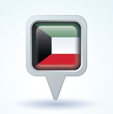 Flag of Kuwait vector illustration N5