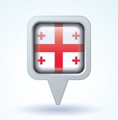 Flag of Georgia vector illustration N6