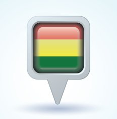 Flag of Bolivia vector illustration N5