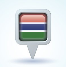 Flag of Gambia vector illustration N5