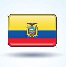 Flag of Ecuador vector illustration N5