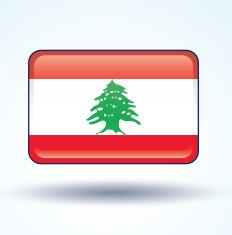 Flag of Lebanon vector illustration N6