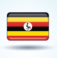 Flag of Uganda vector illustration N6