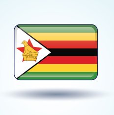 Flag of Zimbabwe vector illustration N5