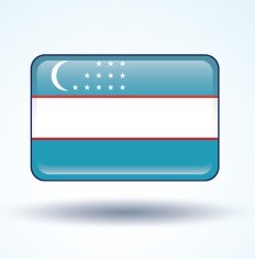 Flag of Uzbekistan vector illustration N13