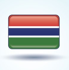 Flag of Gambia vector illustration N6