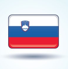 Flag of Slovenia vector illustration N5