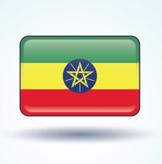 Flag of Ethiopia Vector illustration N7