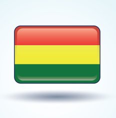 Flag of Bolivia vector illustration N6