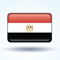 Flag of Egypt vector illustration N3