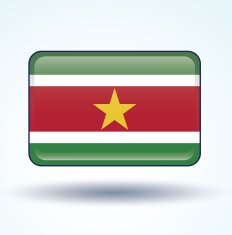 flag of Suriname vector illustration N7